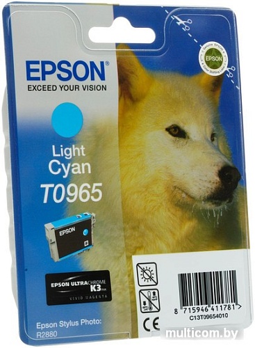 Картридж Epson C13T09654010