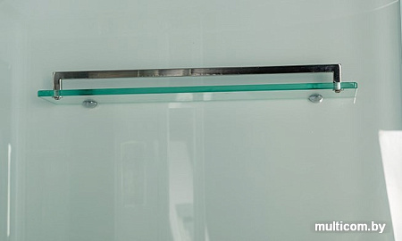 Душевая кабина WeltWasser WW500 Laine 1204