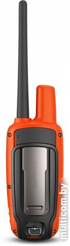 Портативный GPS-трекер Garmin Alpha 50 с ошейником Т5