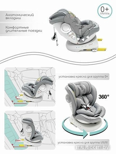 Детское автокресло Amarobaby Champion Isofix AMARO-2008CH-Se (серый)