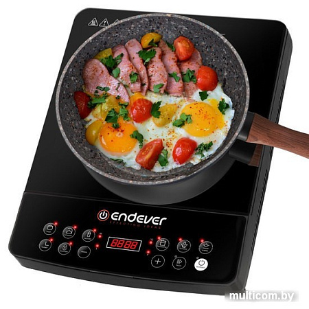 Настольная плита Endever Skyline IP-57