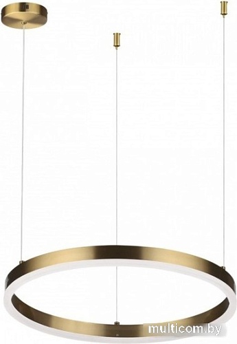 Припотолочная люстра Lumion Echo Ledio 6531/34L