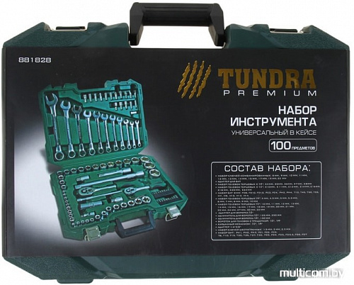 Универсальный набор инструментов Tundra 881828 (100 предметов)