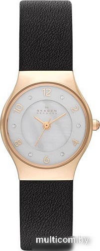 Наручные часы Skagen SKW2209