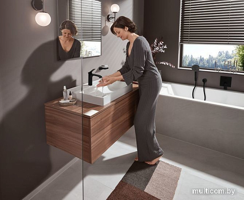 Hansgrohe AddStoris 41746670