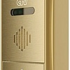 Вызывная панель CTV D4004FHD (золотистый)