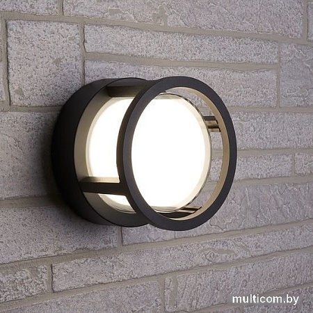 Садовый светильник Feron DH107 06349