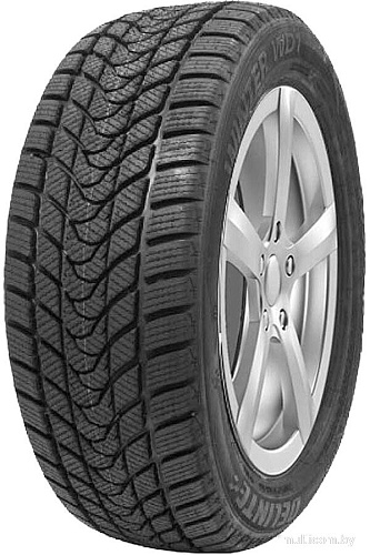 Зимние шины Delinte Winter WD1 225/55R17 97T
