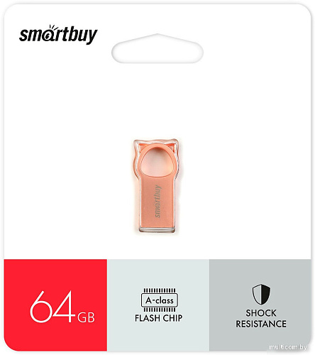 USB Flash SmartBuy MC5 64GB