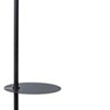 Торшер Arte Lamp Connor A4053PN-1BK
