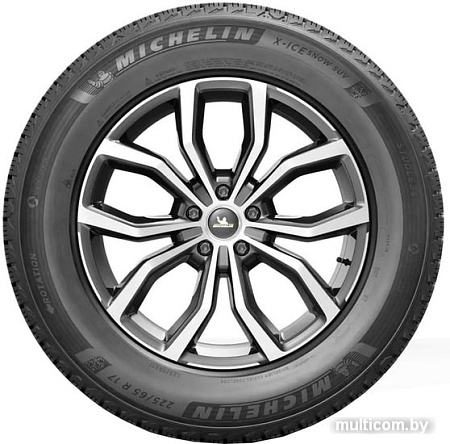 Автомобильные шины Michelin X-Ice Snow SUV 255/45R20 105T
