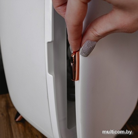 Бьюти-холодильник Meyvel MB-06C1W