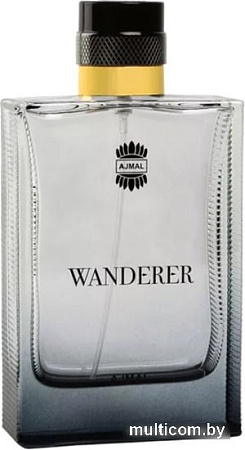 Ajmal Wanderer EdP (100 мл)