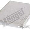 Hengst E2979LI