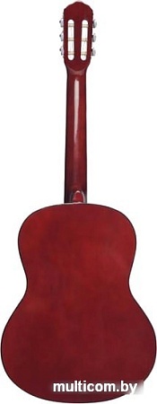 Акустическая гитара Terris TC-390A NA