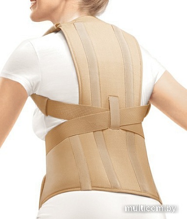 Корректор осанки Orlett TLSO-250(A) (M)
