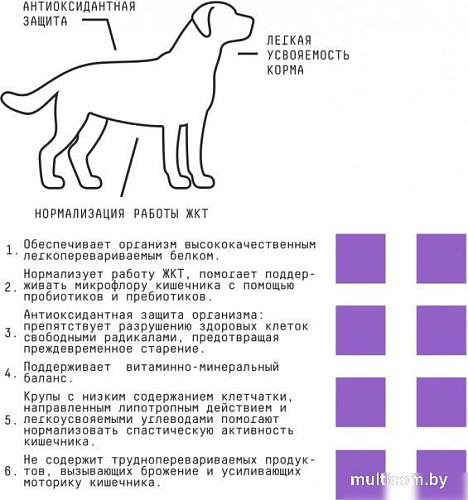 Сухой корм для собак AJO Dog Sense с гречкой для собак с чувствительным пищеварением 12 кг