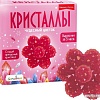 Набор для опытов Bumbaram Кристаллы. Чудесный цветок красный A127
