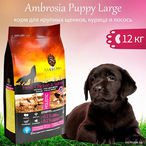 Сухой корм для собак Ambrosia Grain Free (для щенков крупных пород курица и лосось) 12 кг