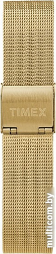 Наручные часы Timex TW2T36400