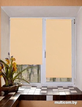 Рулонные шторы Lm Decor Лайт LM 30-05F 220x185