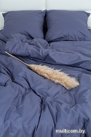 Постельное белье Миланика Фиалка Семейный (поплин г/к)