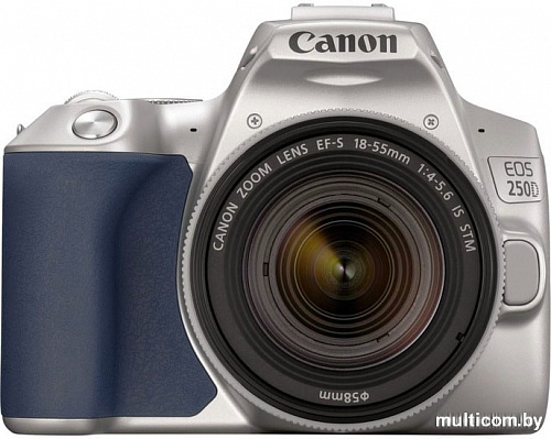 Зеркальный фотоаппарат Canon EOS 250D Kit 18-55 IS STM (серебристый)