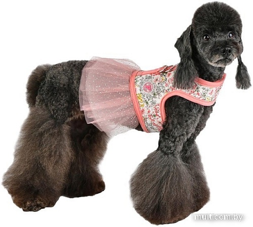 Шлейка Pinkaholic Begonia NATA-HD7556-PK-S (розовый)