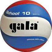 Мяч Gala School 10 BV5711S (5 размер)