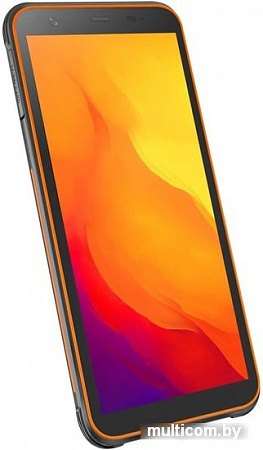 Смартфон Blackview BV6300 (оранжевый)