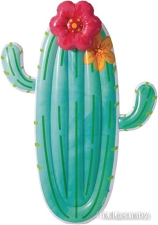 Надувной матрас Intex Кактус 58793