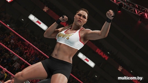 Игра WWE 2K19 для Xbox One