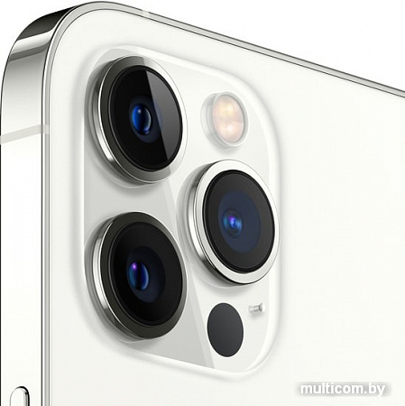 Смартфон Apple iPhone 12 Pro Max 128GB (серебристый)