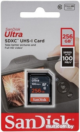 Карта памяти SanDisk Ultra SDXC SDSDUNR-256G-GN3IN 256GB