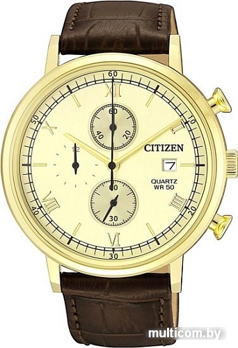 Наручные часы CITIZEN AN3612-09P