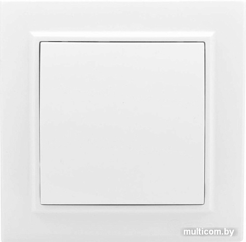 Выключатель проходной EKF Basic Минск ERV10-025-10