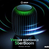 Умная колонка SberDevices SberBoom (черная материя)