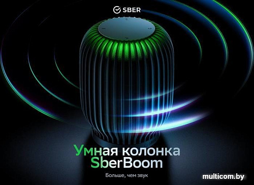 Умная колонка SberDevices SberBoom (черная материя)