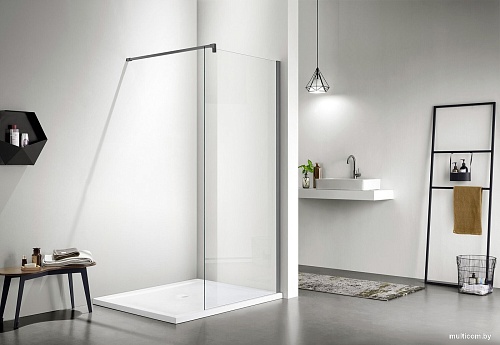 Душевая стенка Adema Реген 100 Walk-In (графит браш)