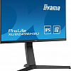 Монитор Iiyama ProLite XUB2496HSU-B1