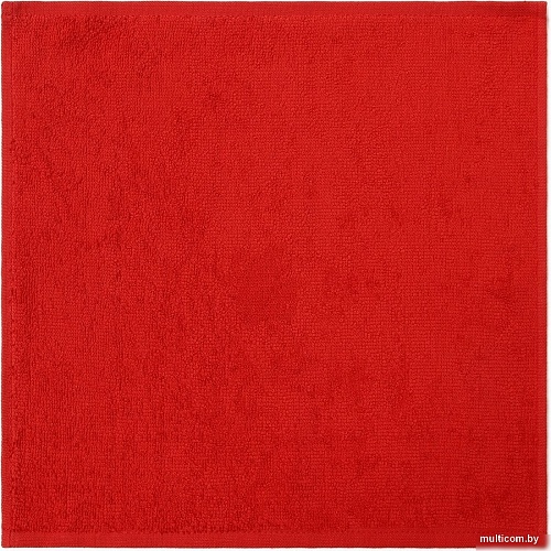 Набор полотенец Этель Санта 10715161 30x30 (4 шт)