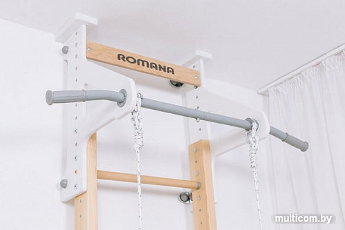 Детский спортивный комплекс Romana Eco 1 02.21.8.14.500.09.01-01 (дерево/белый)