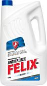 Охлаждающая жидкость Тосол-Синтез FELIX EXPERT 5л