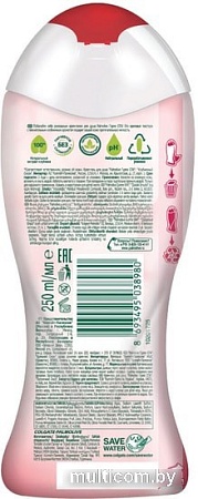 Косметика по уходу за телом Palmolive Крем-гель для душа Гурмэ SPA Клубничный смузи 250 мл