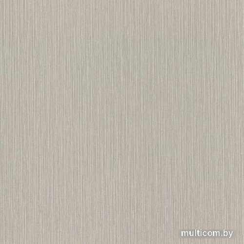 Виниловые обои Rasch Metal Spirit 977257