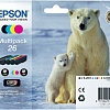 Картридж Epson C13T26164010