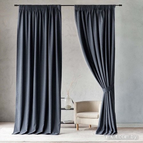 Комплект штор Pasionaria Ибица 280x230 (2 шт, темно-серый)