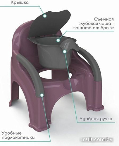 Детский горшок Amarobaby Baby chair AB221105BCh/22 (фиолетовый)