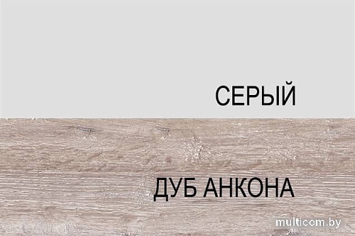 Шкаф напольный Anrex Alesia 3S/60-F1 (серый/дуб анкона)