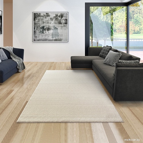 Ковер для жилой комнаты Moldabela Fenix Прямоугольник 1059 1 34100 (0.6x0.8)